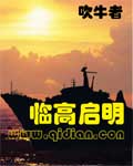 美速快递在线观看完整版中文